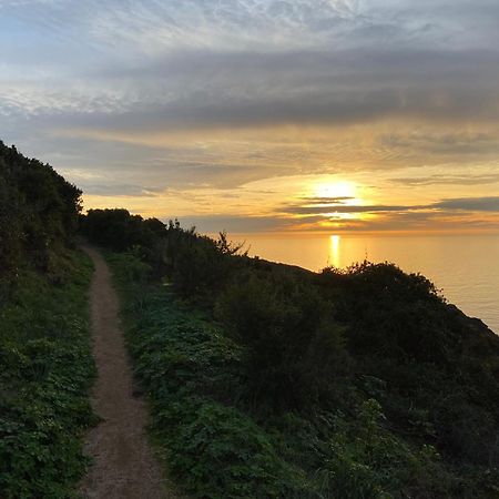 Villa Montalbo Vue Mer De 2 A 10 Personnes Cargèse Zewnętrze zdjęcie
